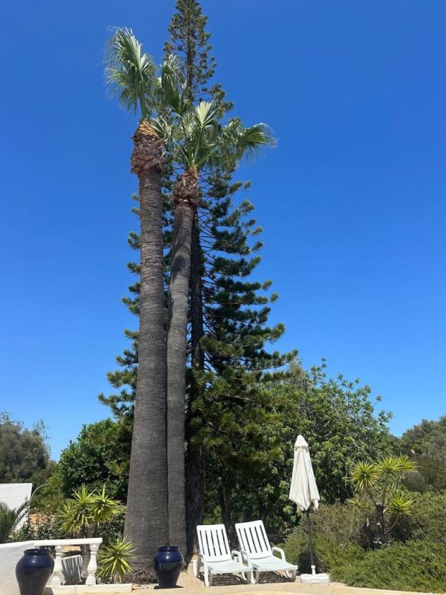 Casa Paraiso