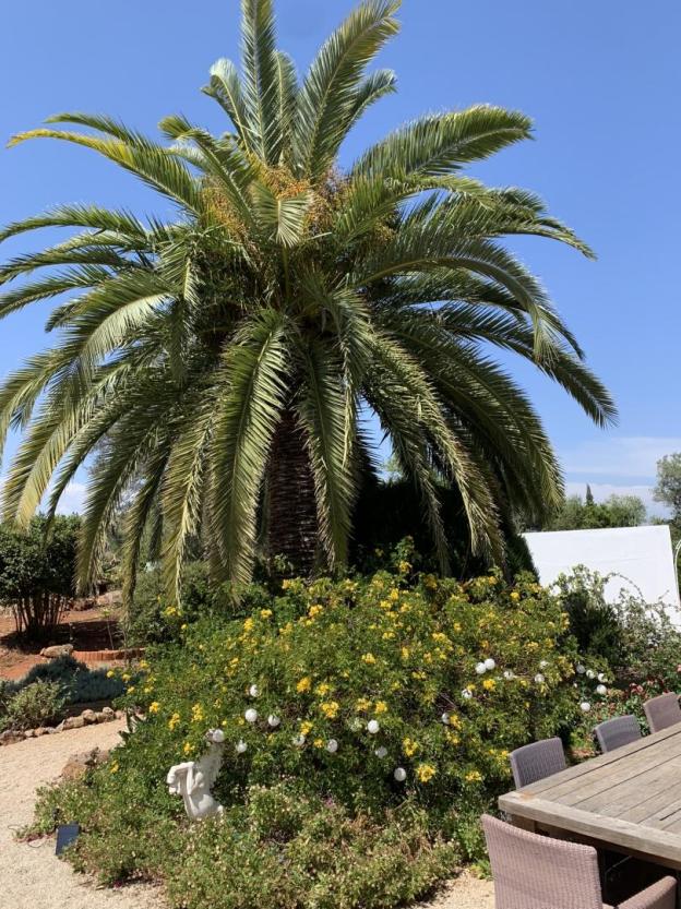 Casa Paraiso