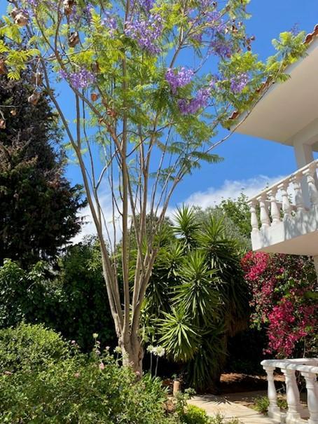 Casa Paraiso