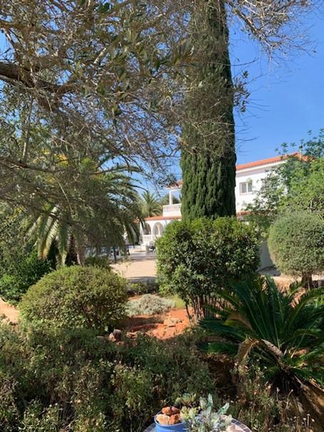Casa Paraiso