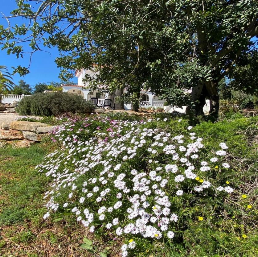 Casa Paraiso