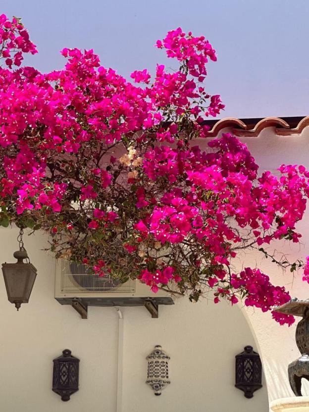 Casa Paraiso