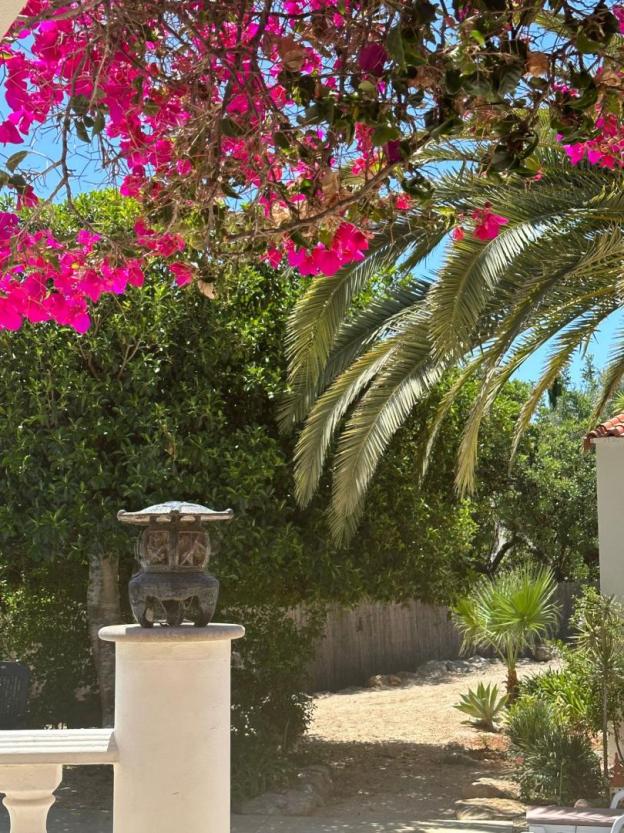 Casa Paraiso